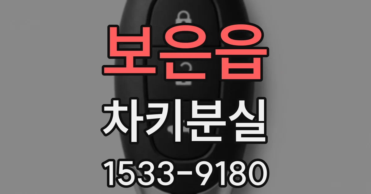 보은읍 차키분실