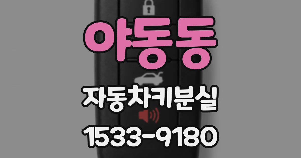 야동동 자동차키분실