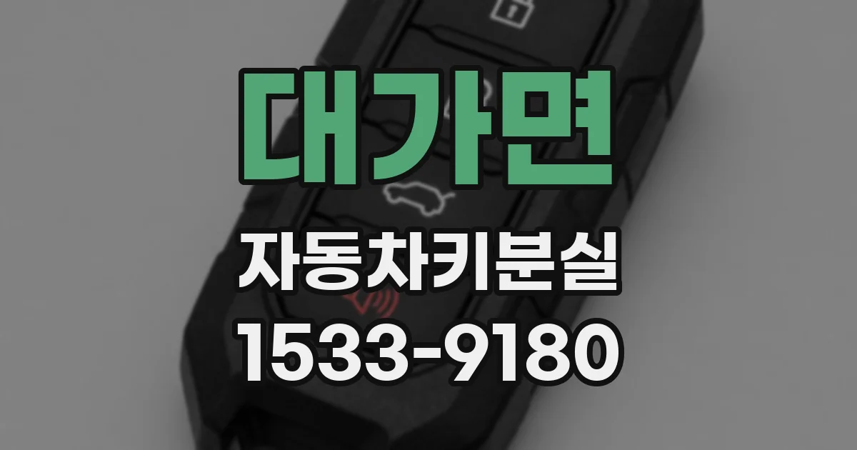 대가면 자동차키분실