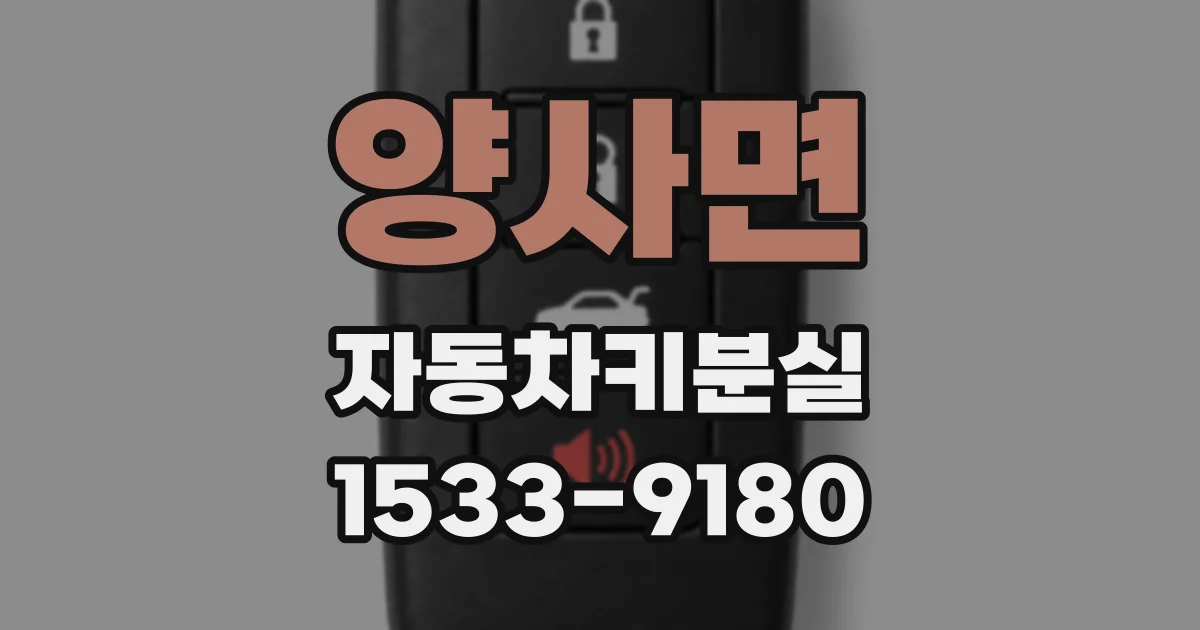 양사면 자동차키분실