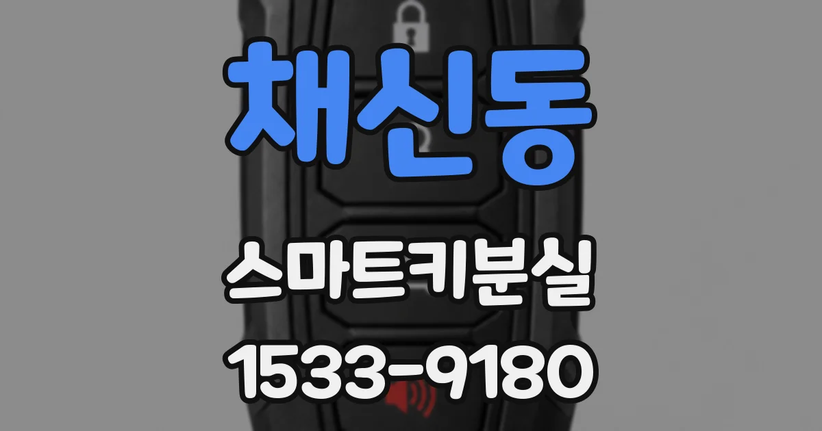 채신동 스마트키분실