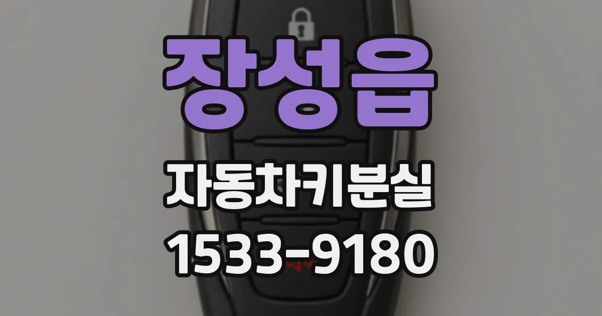 장성읍 자동차키분실