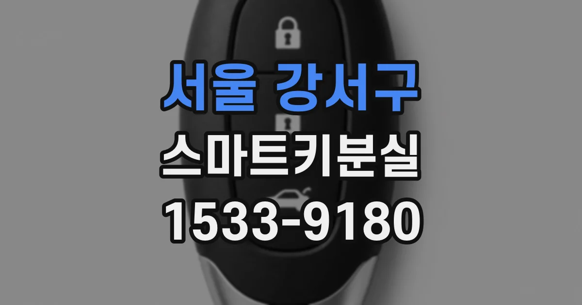 서울 강서구 스마트키분실
