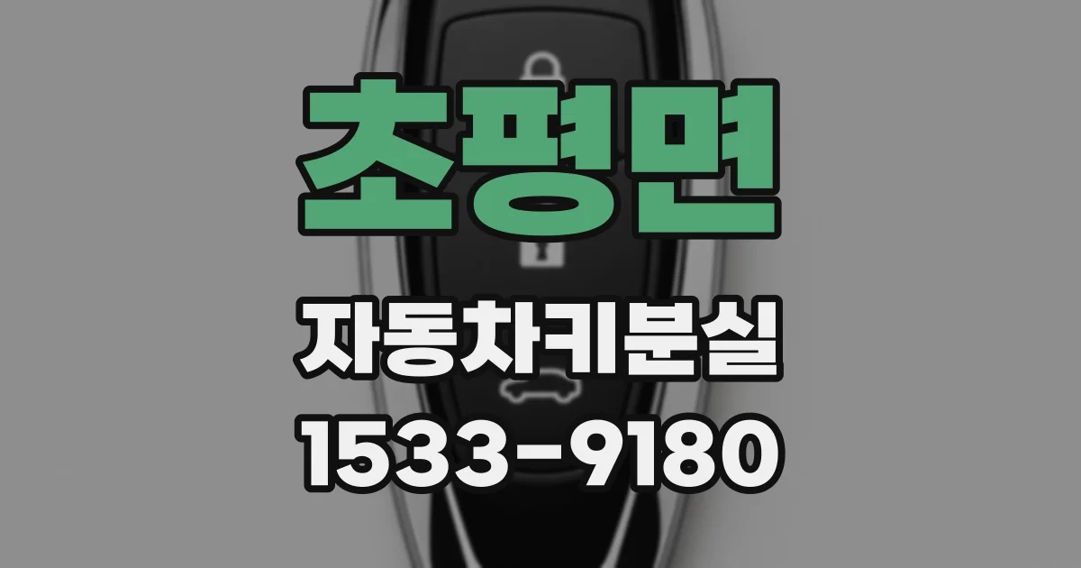 초평면 자동차키분실