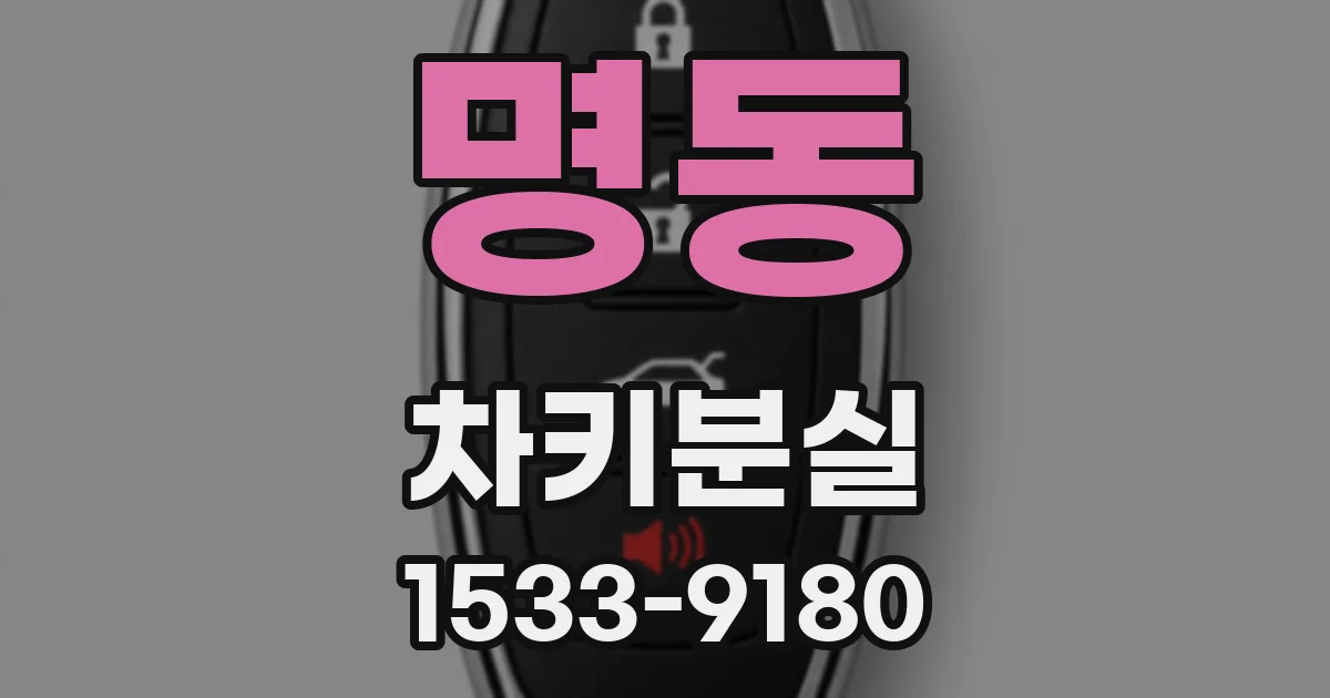 명동 차키분실