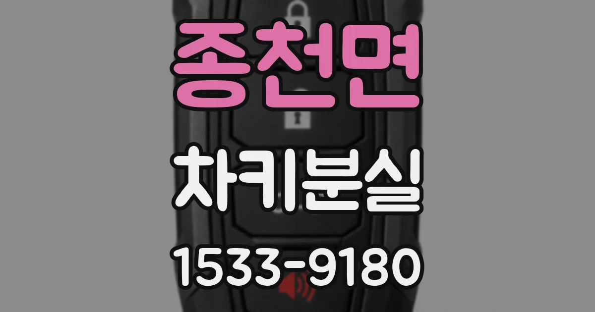 종천면 차키분실