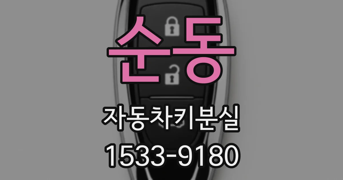 순동 자동차키분실