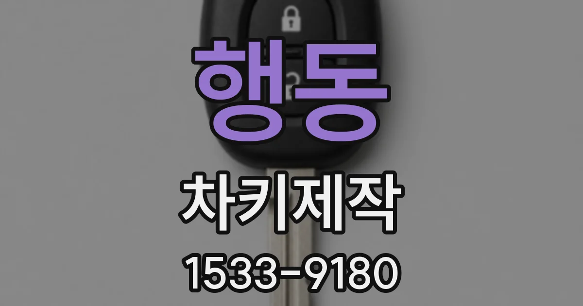 행동 차키제작