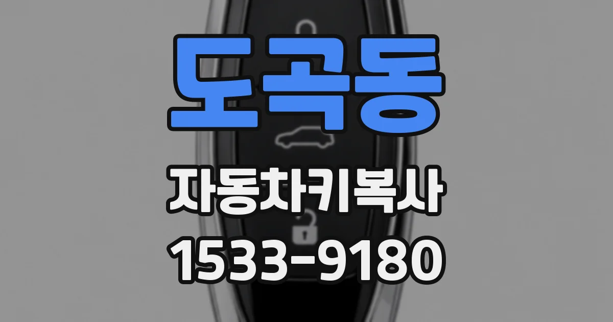 도곡동 자동차키복사