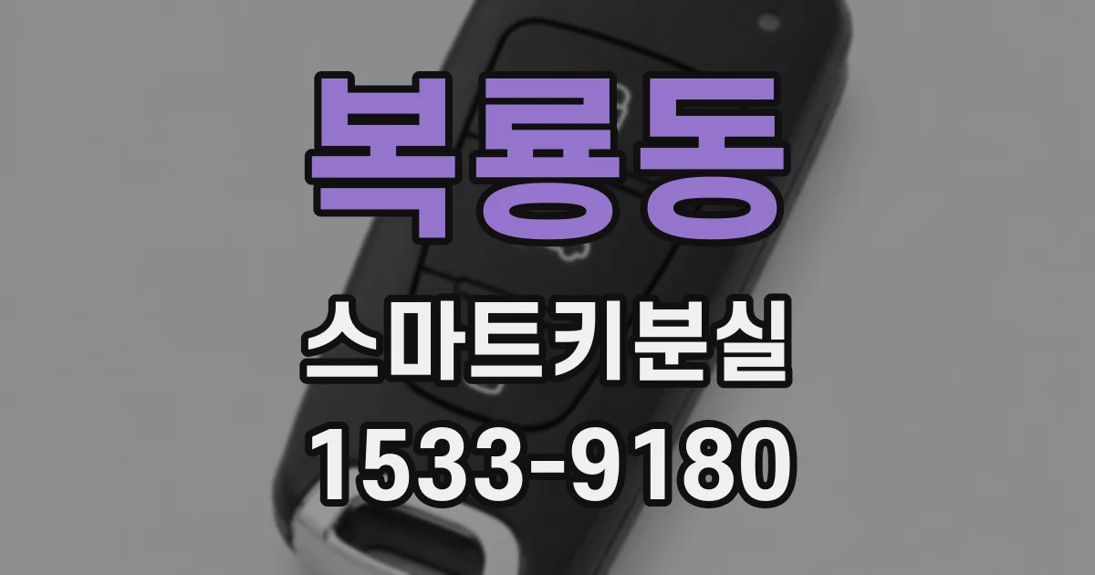 복룡동 스마트키분실
