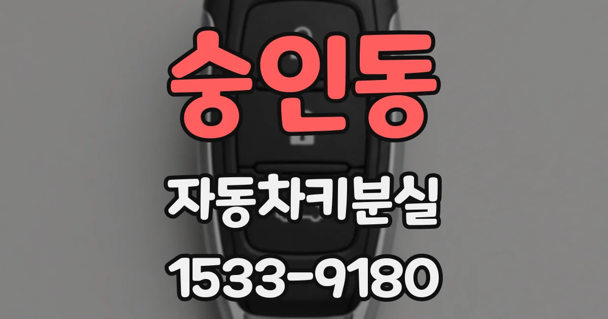 숭인동 자동차키분실