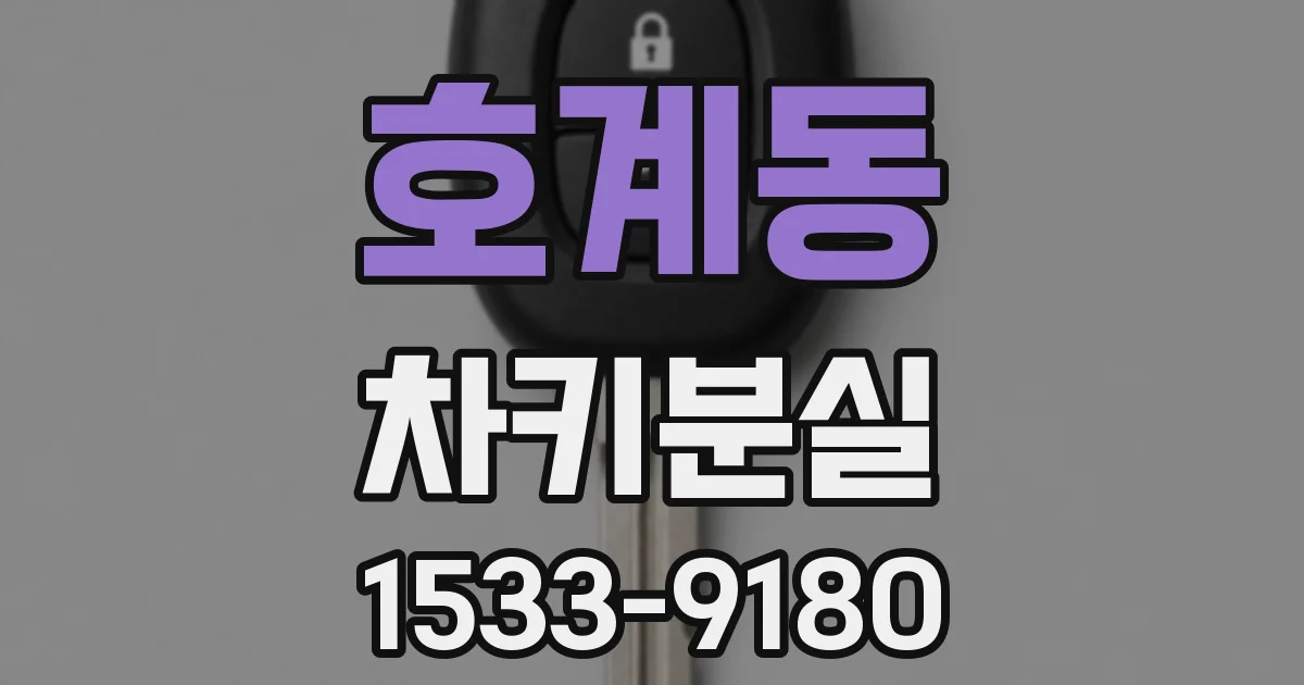 호계동 차키분실