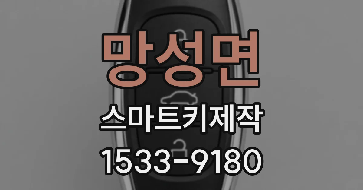 망성면 스마트키제작