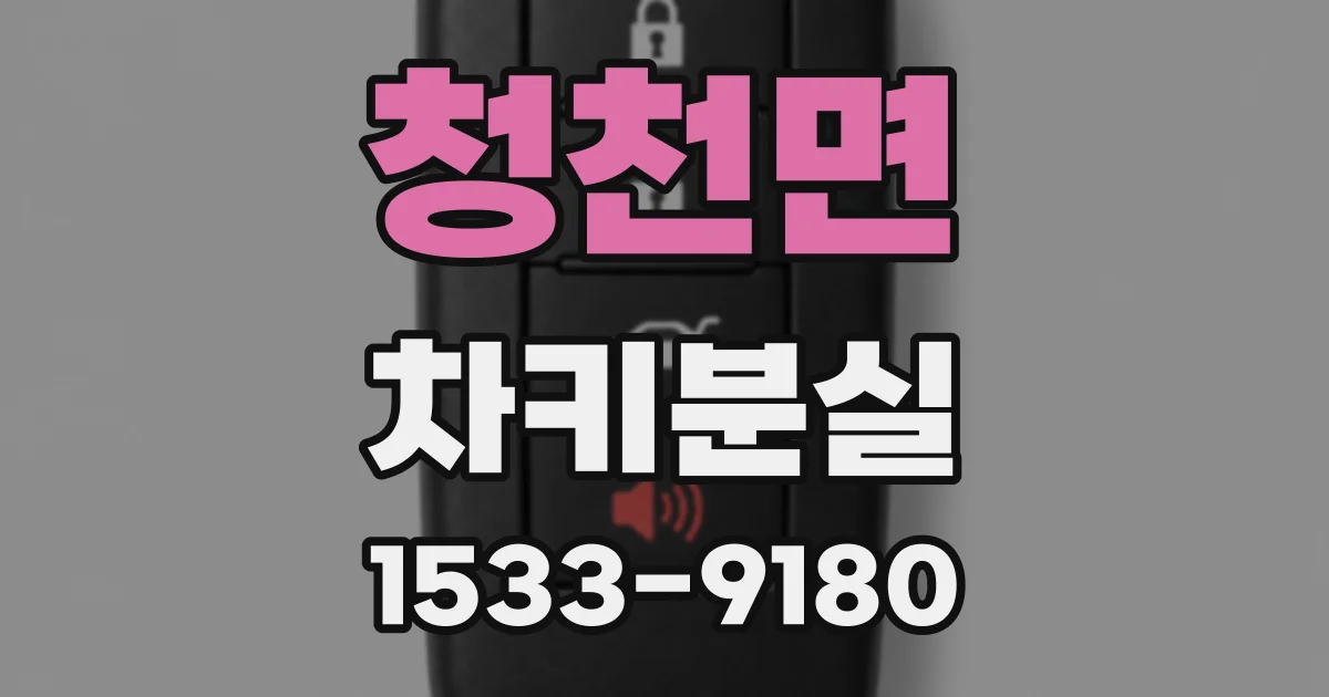 청천면 차키분실