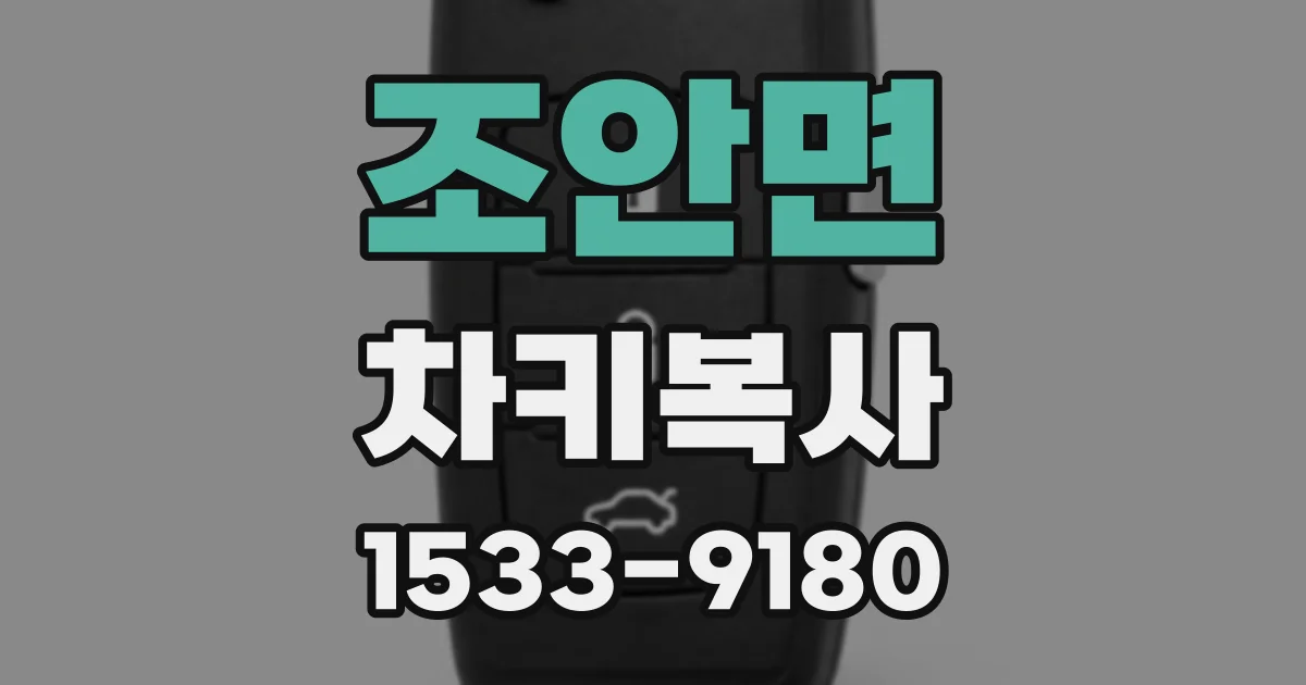 조안면 차키복사