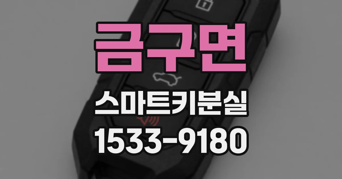 금구면 스마트키분실