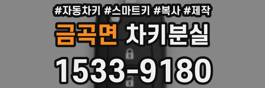 금곡면 차키분실