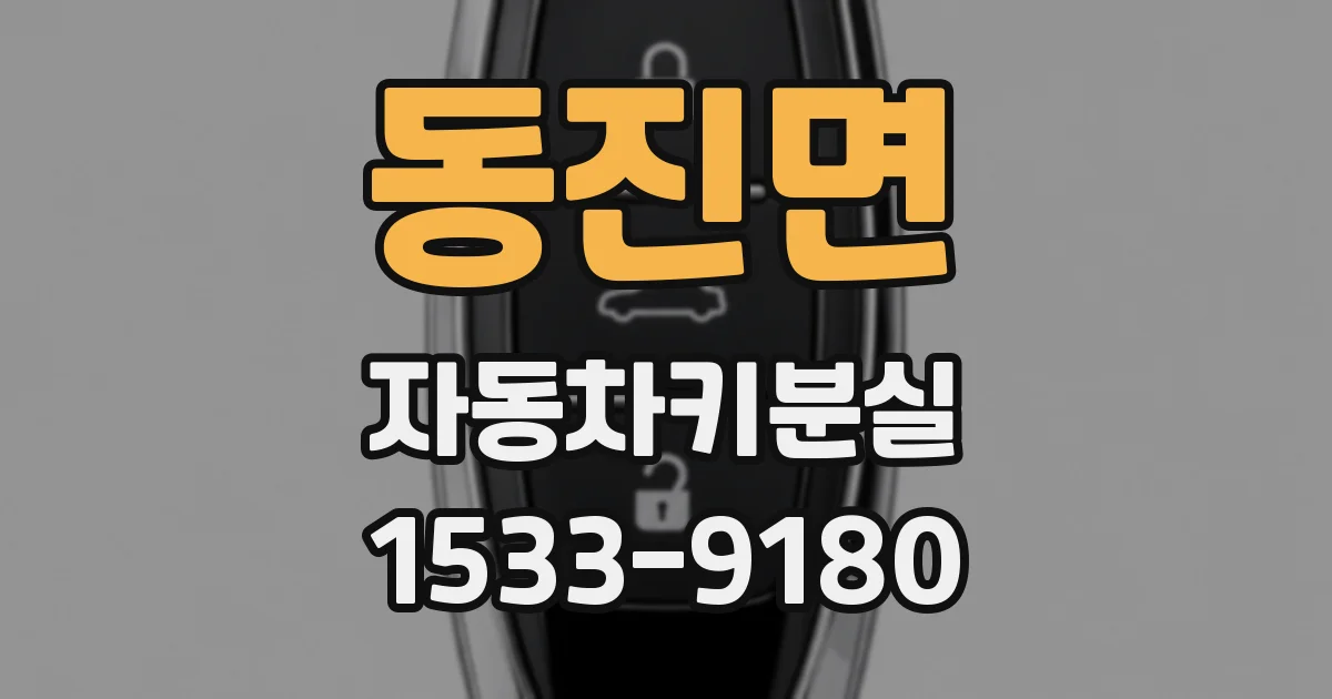 동진면 자동차키분실