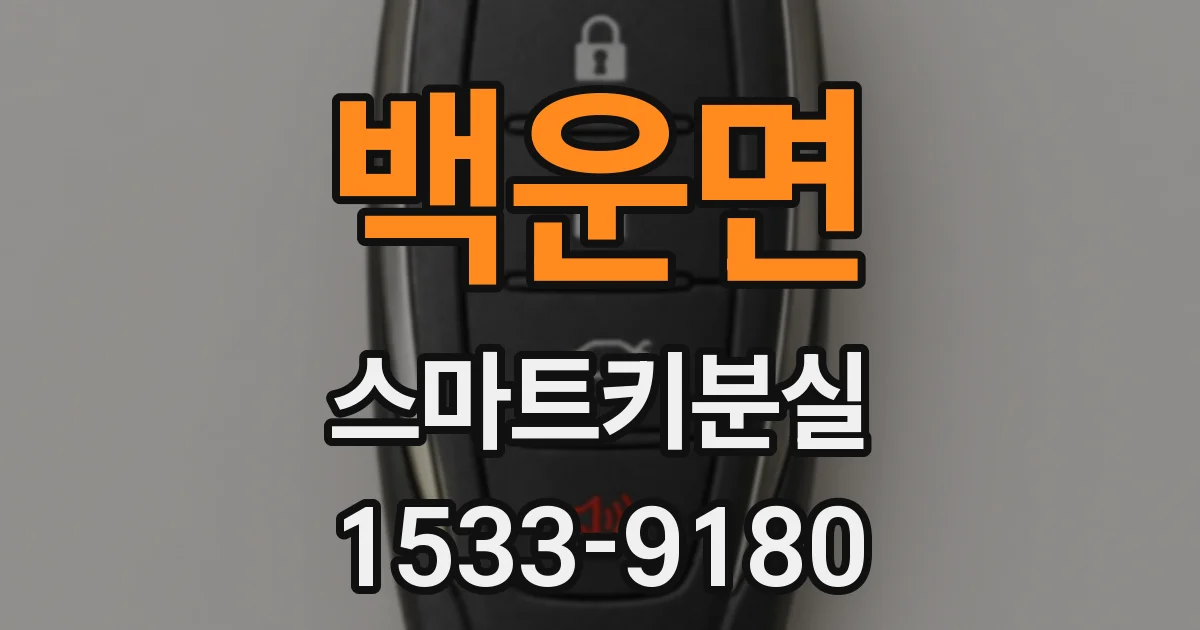 백운면 스마트키분실