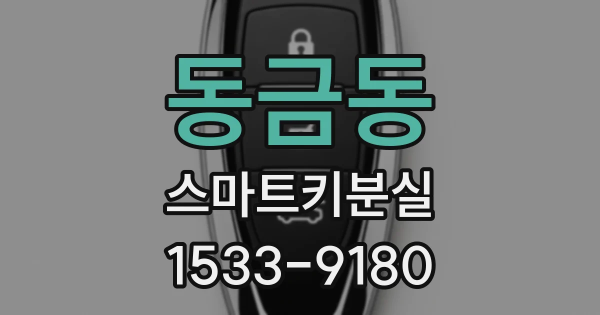 동금동 스마트키분실