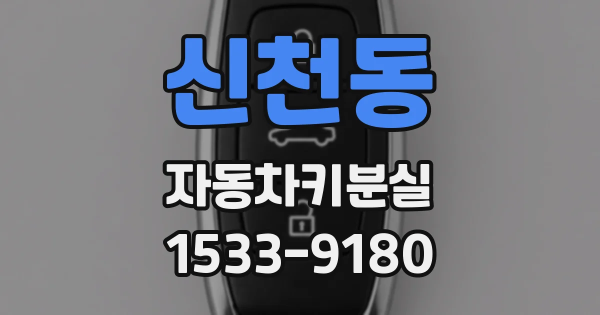 신천동 자동차키분실