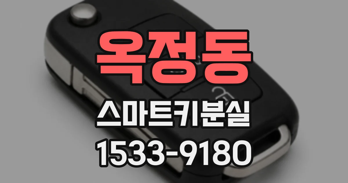 옥정동 스마트키분실