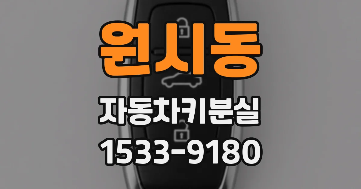 원시동 자동차키분실