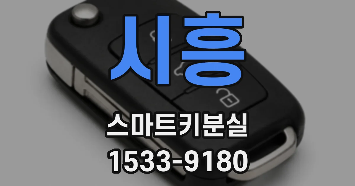 시흥 스마트키분실