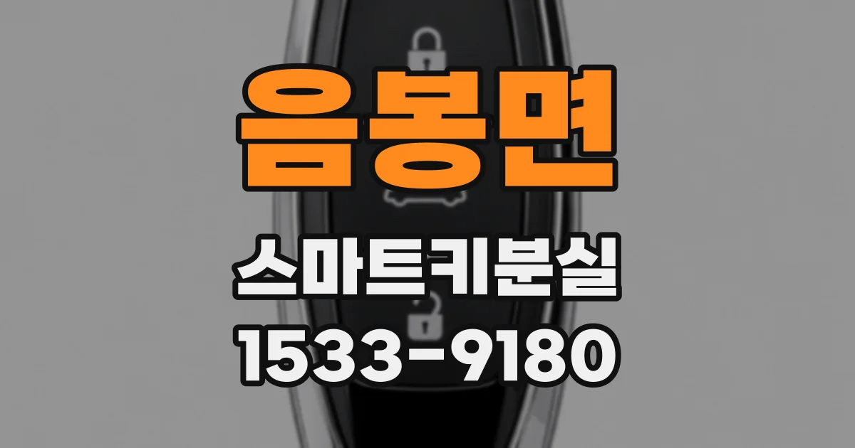 음봉면 스마트키분실