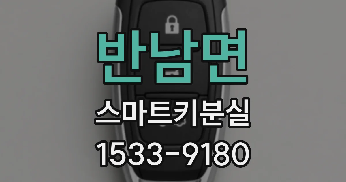 반남면 스마트키분실