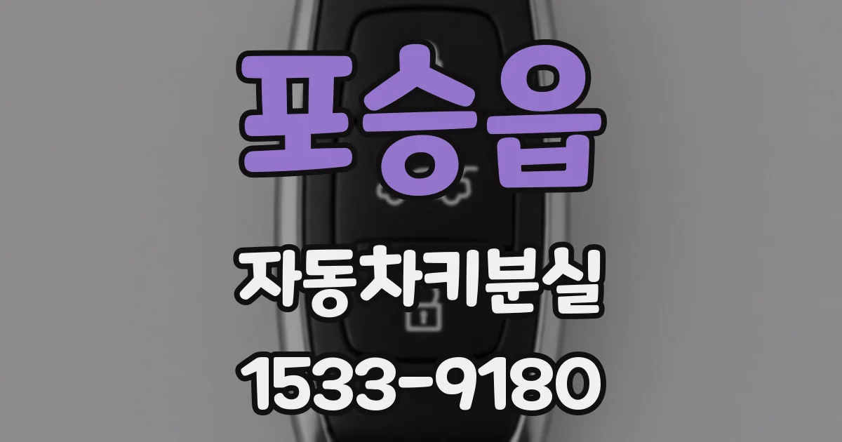포승읍 자동차키분실