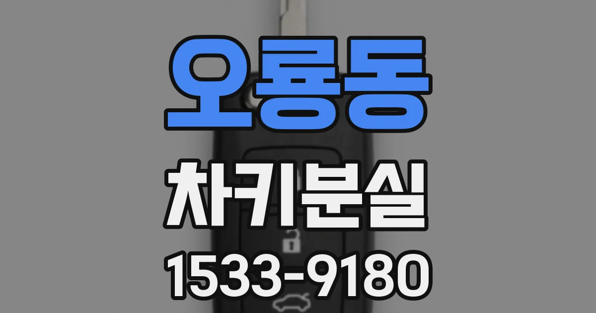 오룡동 차키분실