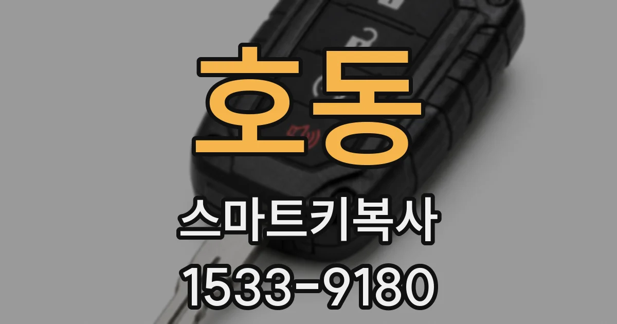 호동 스마트키복사