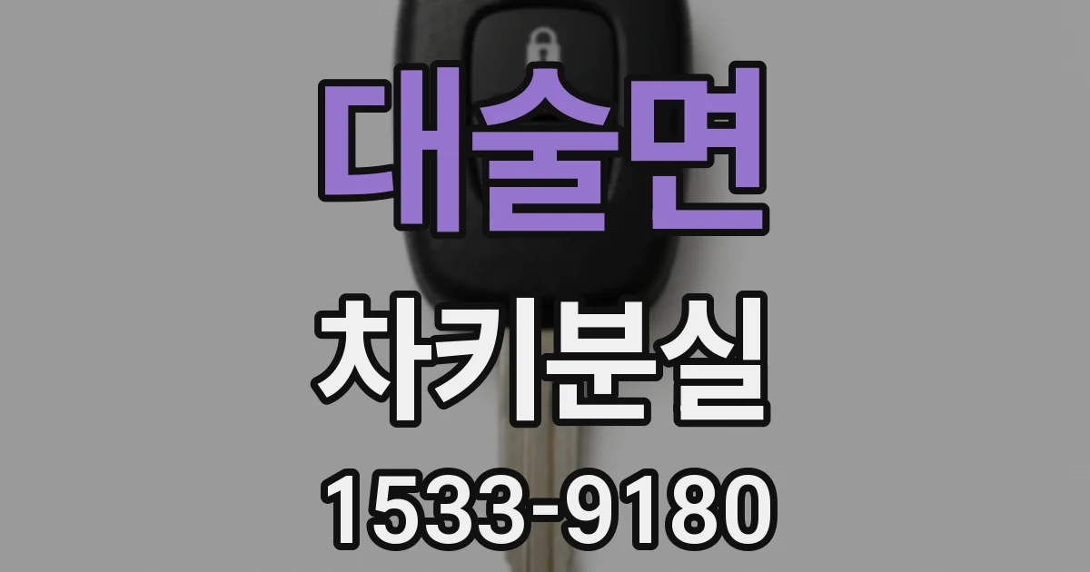 대술면 차키분실