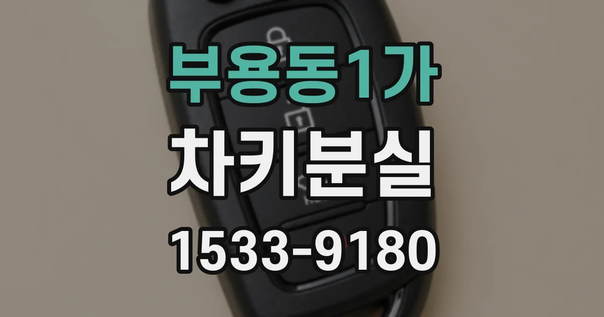 부용동1가 차키분실