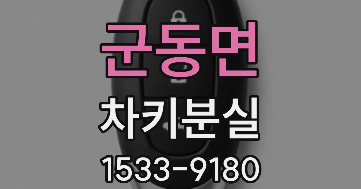 군동면 차키분실