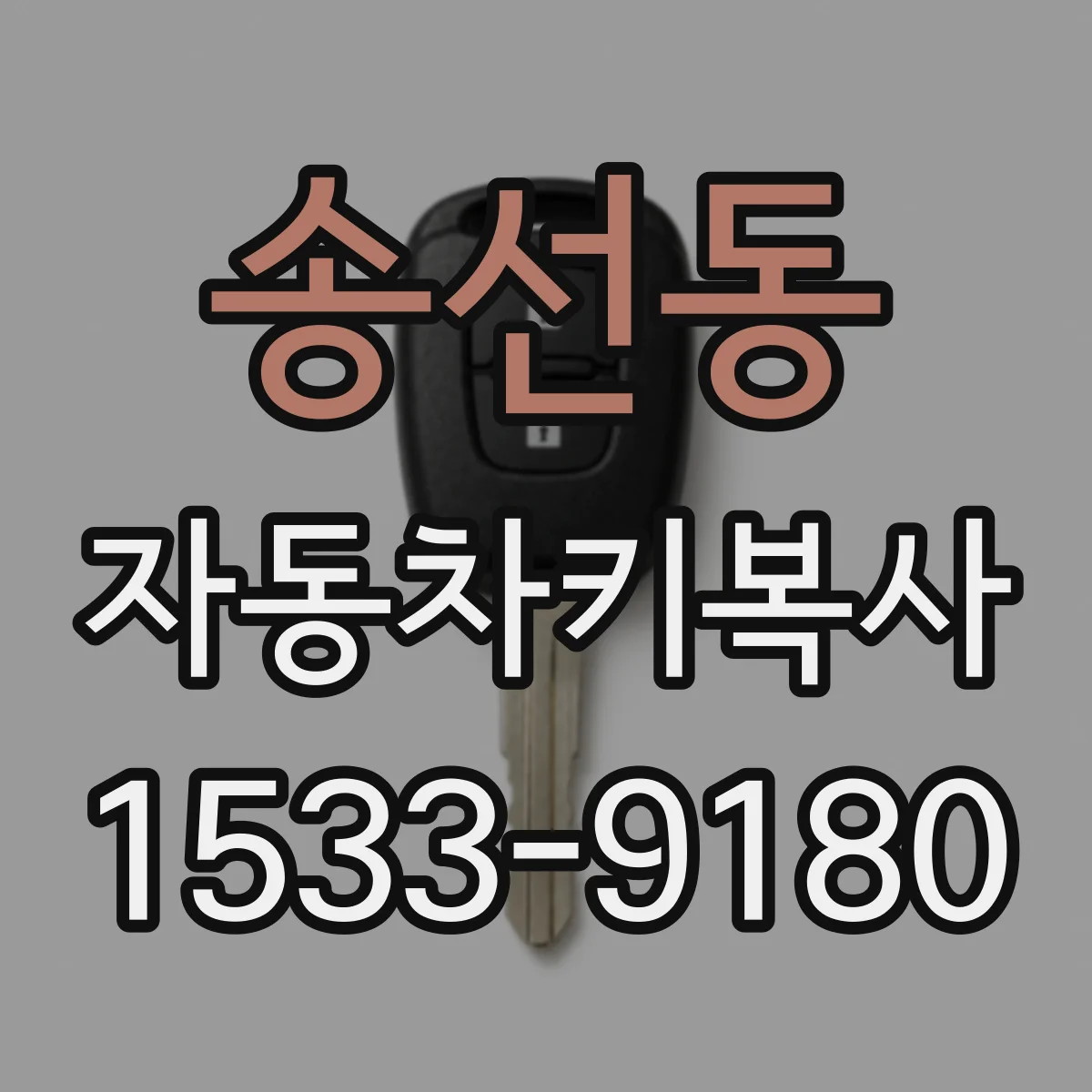 송선동 자동차키복사