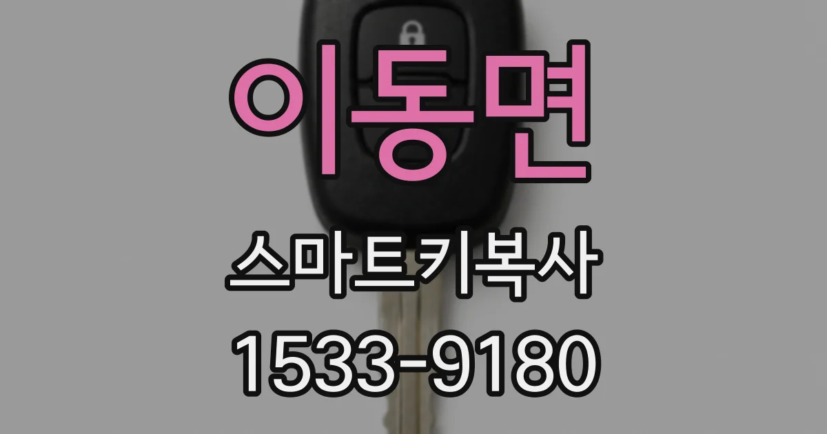 이동면 스마트키복사