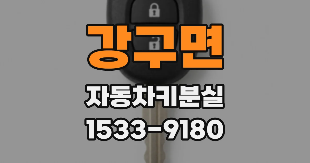 강구면 자동차키분실