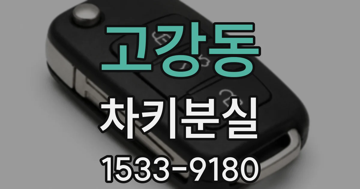 고강동 차키분실