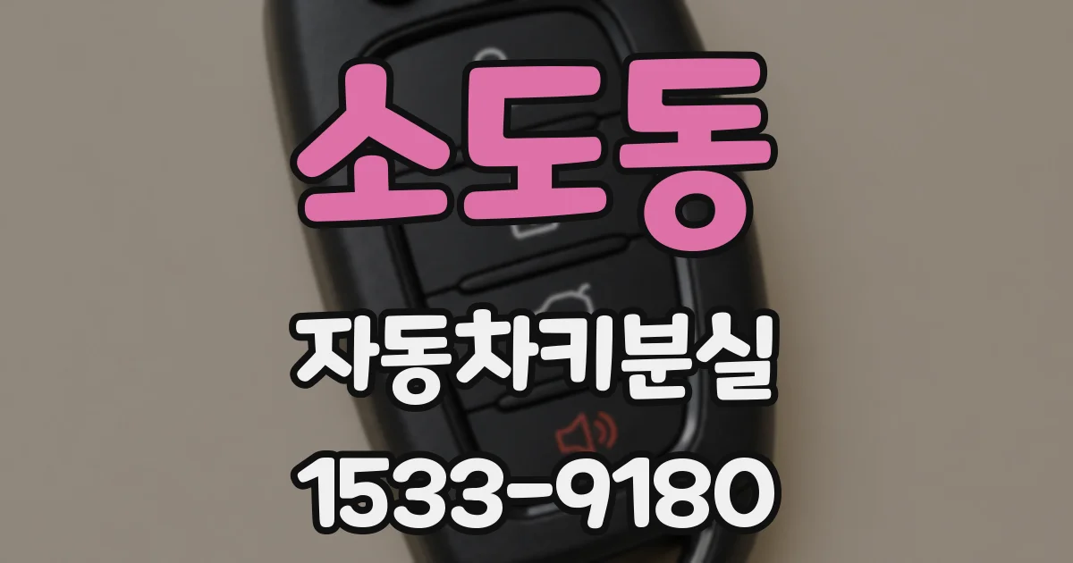 소도동 자동차키분실