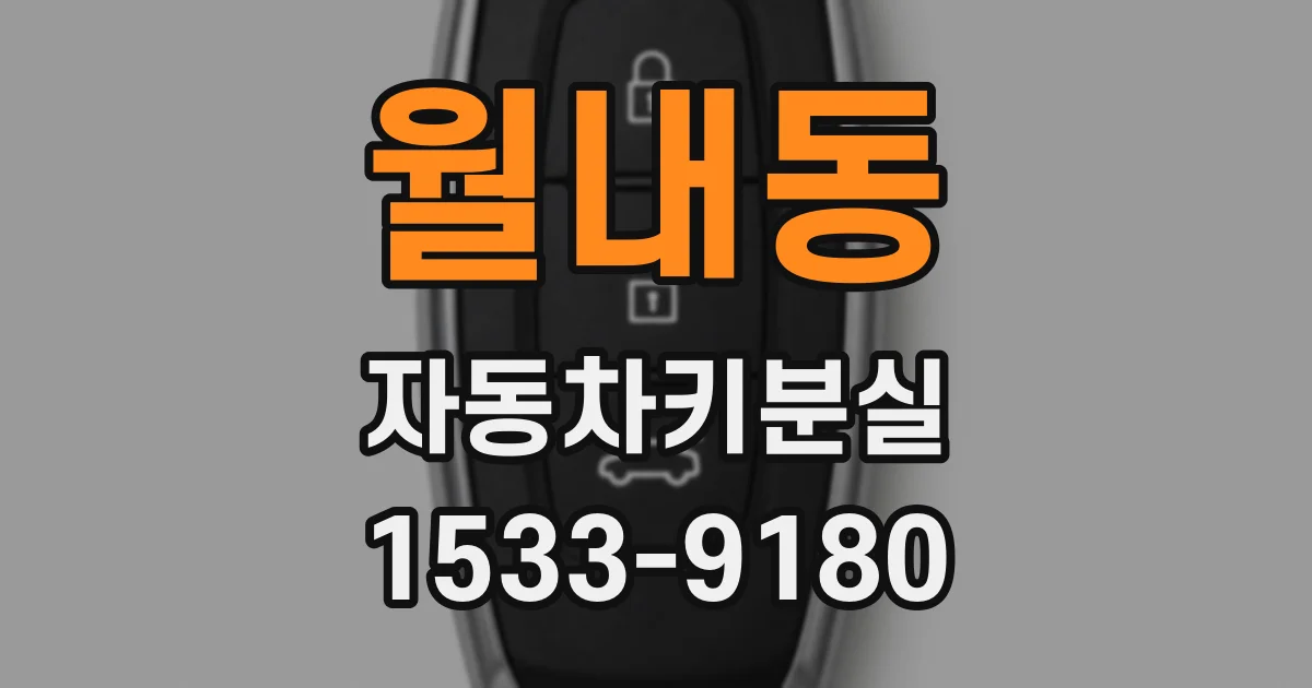 월내동 자동차키분실