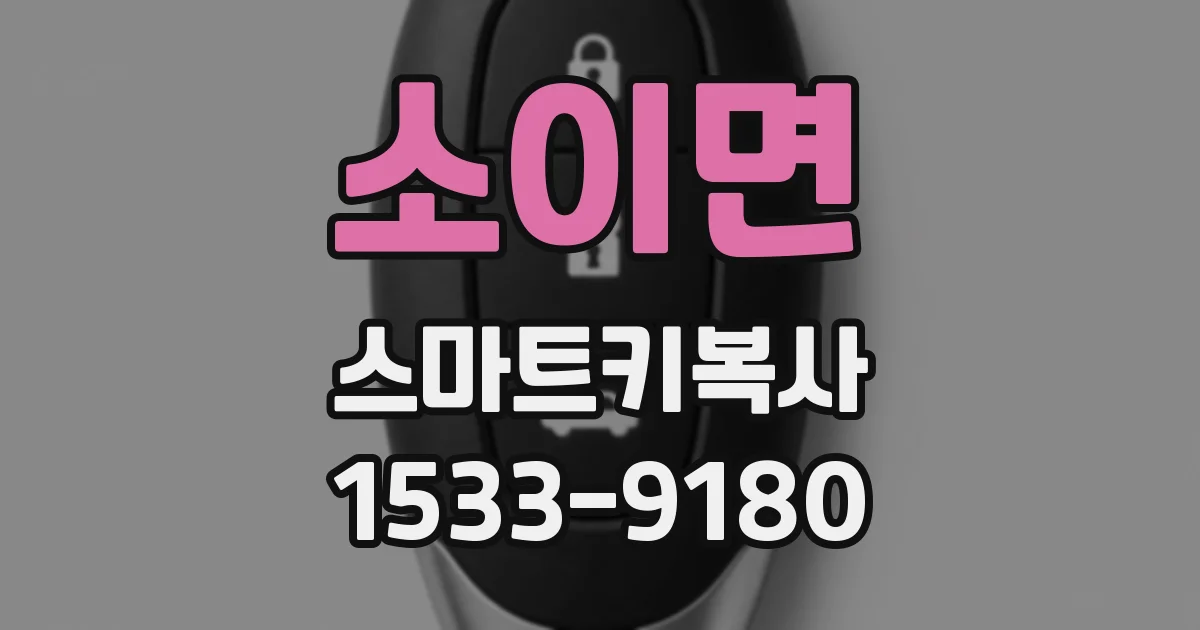 소이면 스마트키복사