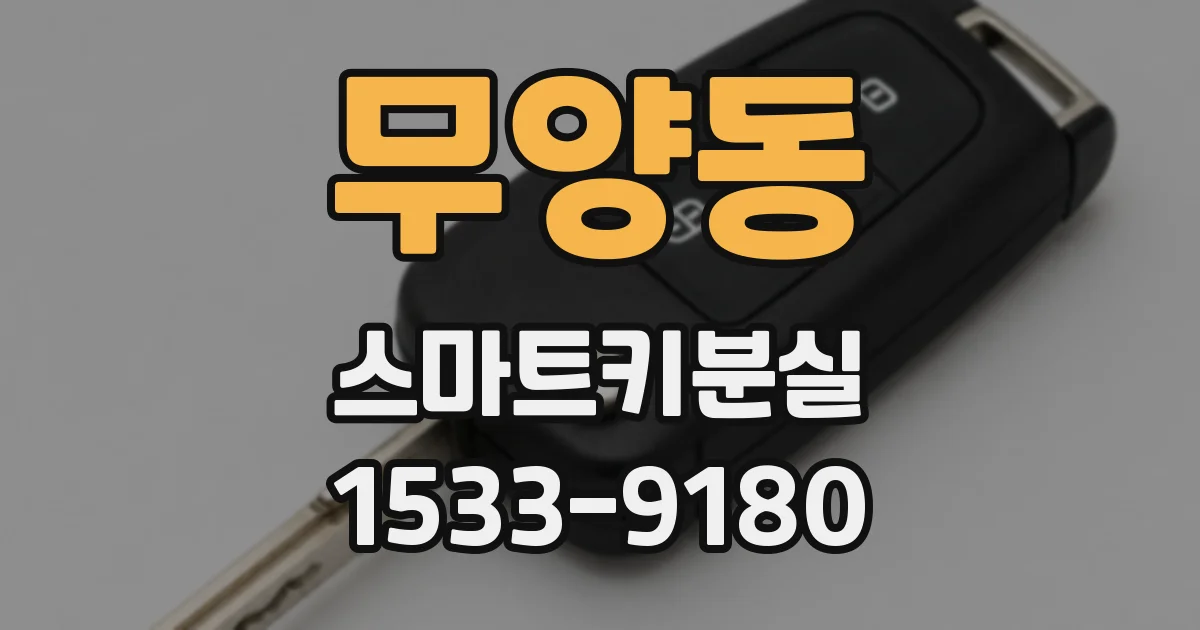 무양동 스마트키분실