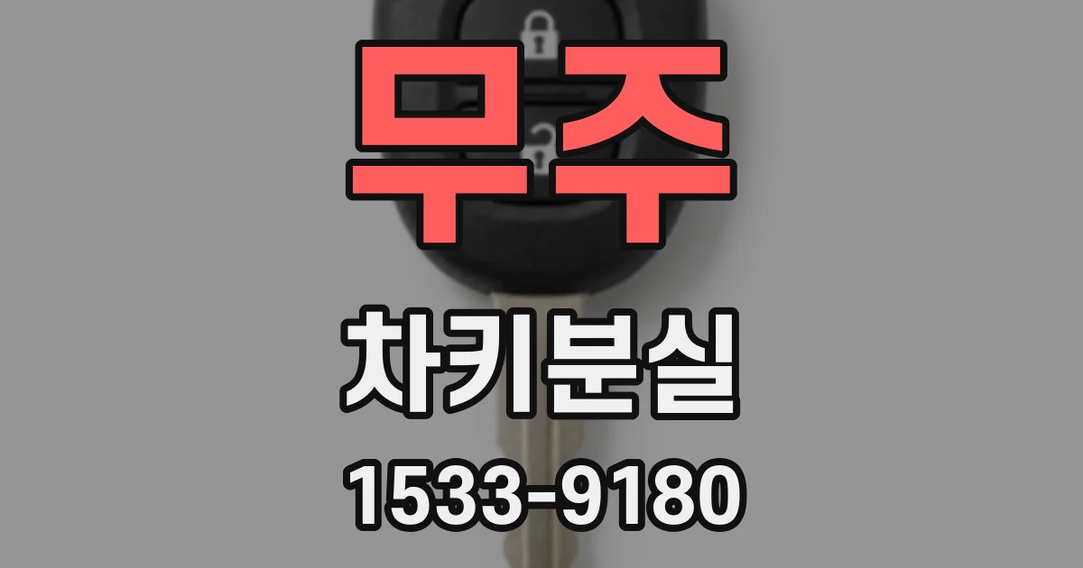무주 차키분실