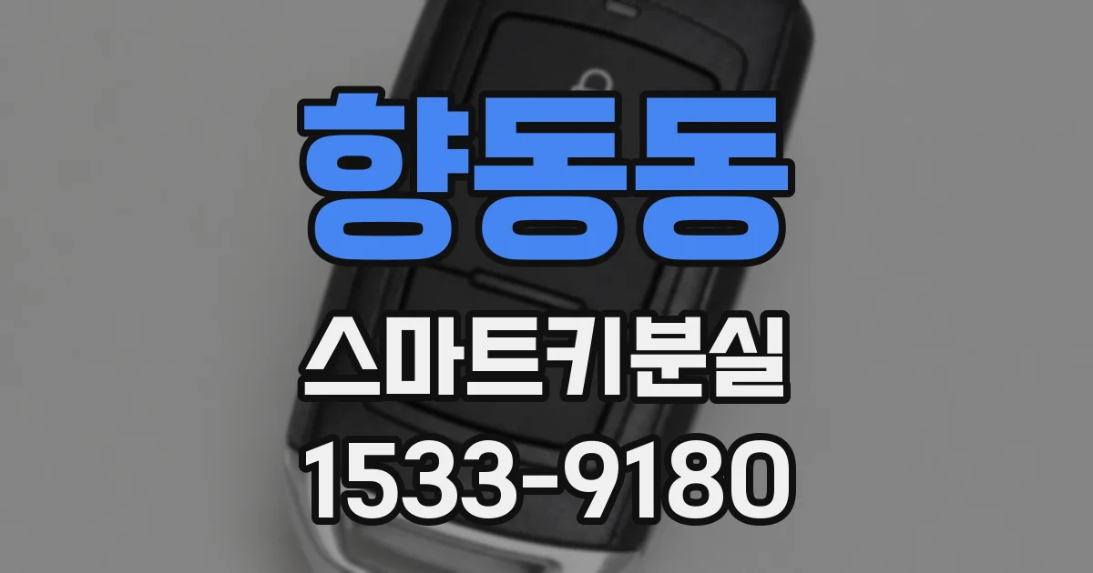 향동동 스마트키분실