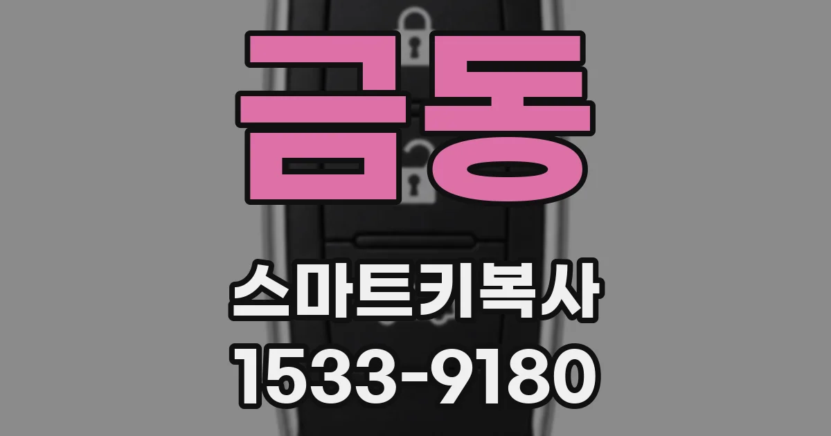 금동 스마트키복사