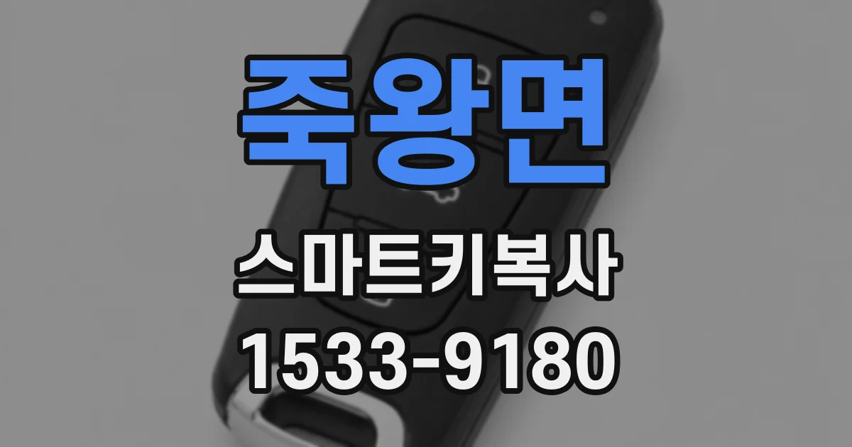 죽왕면 스마트키복사