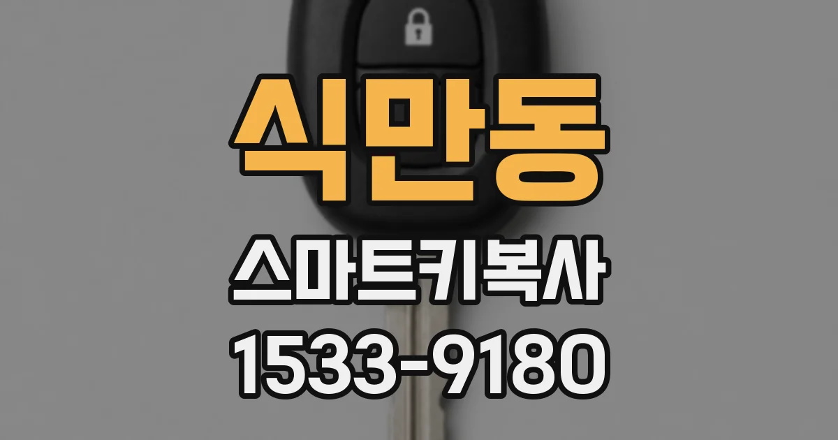 식만동 스마트키복사