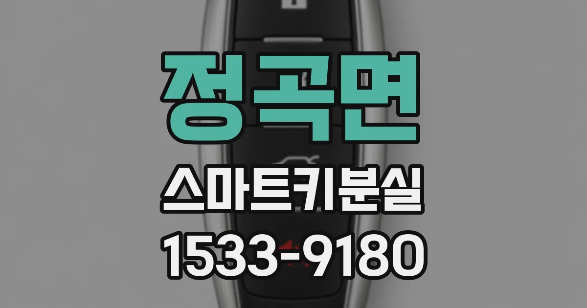 정곡면 스마트키분실